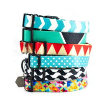 溫州平陽好農夫寵物用品廠 專注寵物用品生產與創新