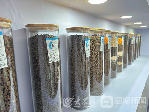 山東一貫寵物用品公司 以高質量產品領跑寵物經濟賽道