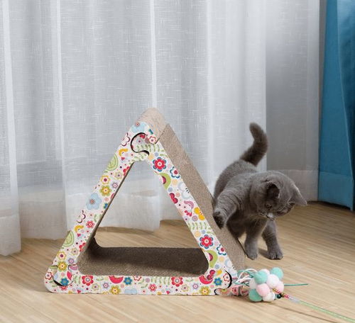 創新紙板寵物玩具，引領綠色產業新風尚，年產值突破數千萬