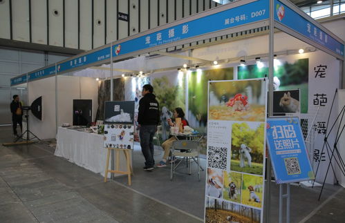 逛完南京寵物文化節，我感受到了“人不如狗”的滋味 寵物美容服務的極致關懷