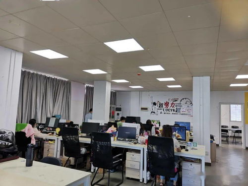 市市場監(jiān)管局江城分局強(qiáng)化電子商務(wù)技術(shù)服務(wù)監(jiān)管，護(hù)航線上經(jīng)營秩序