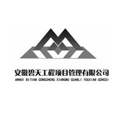 安徽碧天工程項目管理 引領(lǐng)卓越工程管理服務(wù)